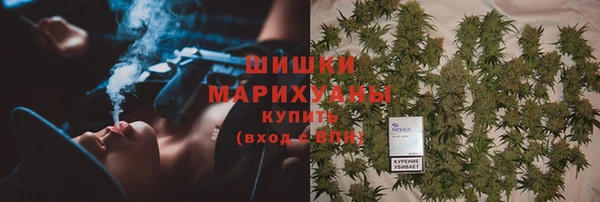 дживик Богородицк
