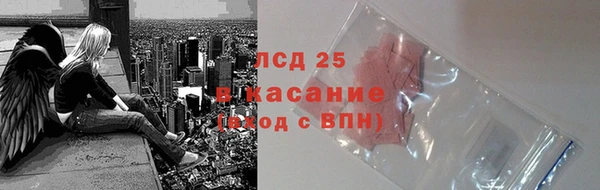 дживик Богородицк