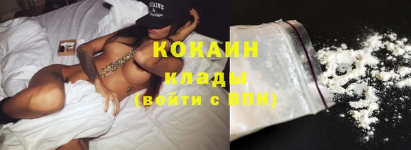 стафф Богданович