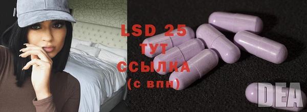 дживик Богородицк