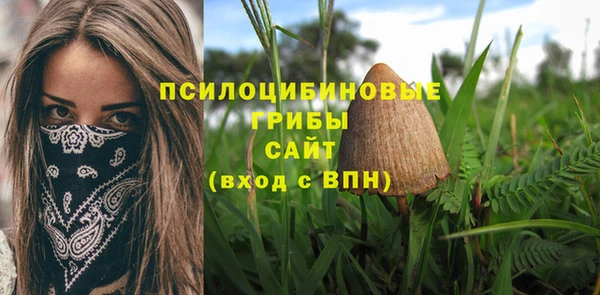 дживик Богородицк