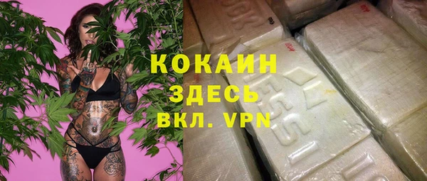 дживик Богородицк