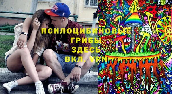 дживик Богородицк