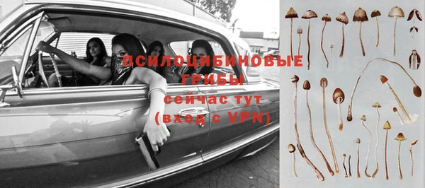 стафф Богданович