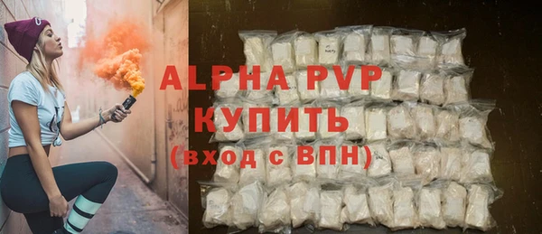 дживик Богородицк