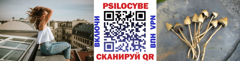 Псилоцибиновые грибы Psilocybine cubensis  хочу   Наро-Фоминск 